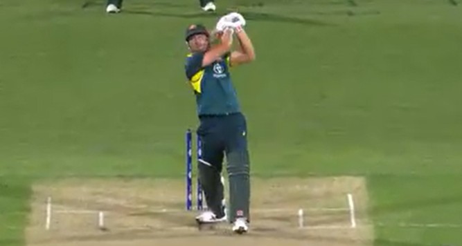 AUS vs PAK 3rd t20: ऑस्ट्रेलिया ने पाकिस्तान को 7 विकेट से हराया, टी20 सीरीज में किया सूपड़ा साफ