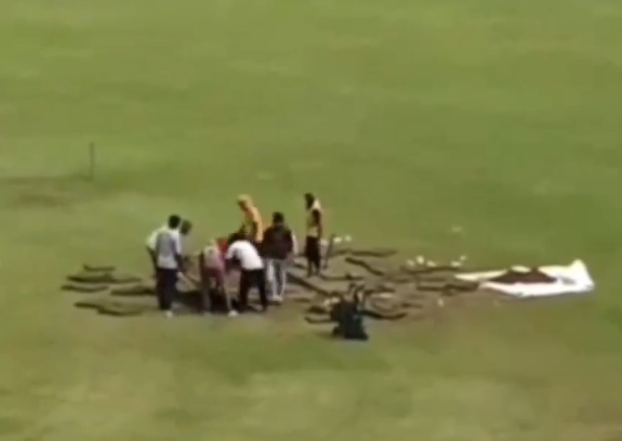 ना तो टॉस हुआ, ना ही फेंकी गई एक भी गेंद; Afghanistan vs New Zealand टेस्ट मैच रद्द