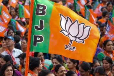 गुजरात में भाजपा ने 25 सीट पर जीत हासिल की, कांग्रेस की झोली में गई एक सीट 