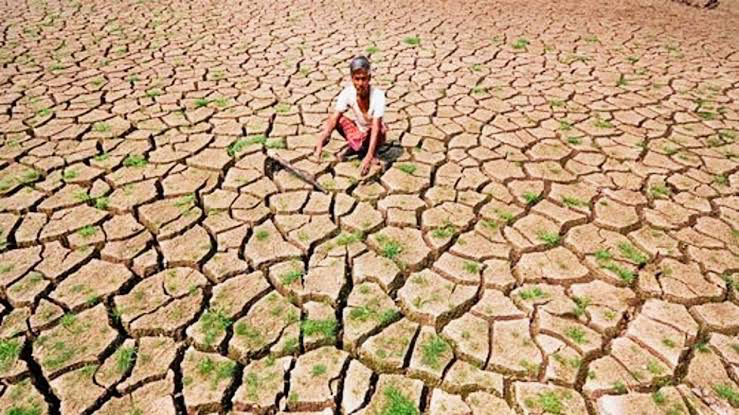 बिहार में 20 जिले सूखे की चपेट में,कम बारिश ने बढ़ाई किसानों की चिंता